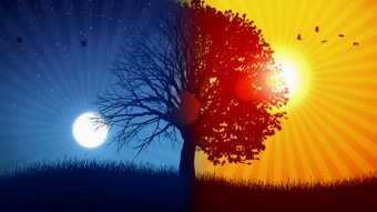 stock-video-3932132-tree-and-sun-moon-02-background